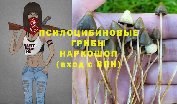 каннабис Верея